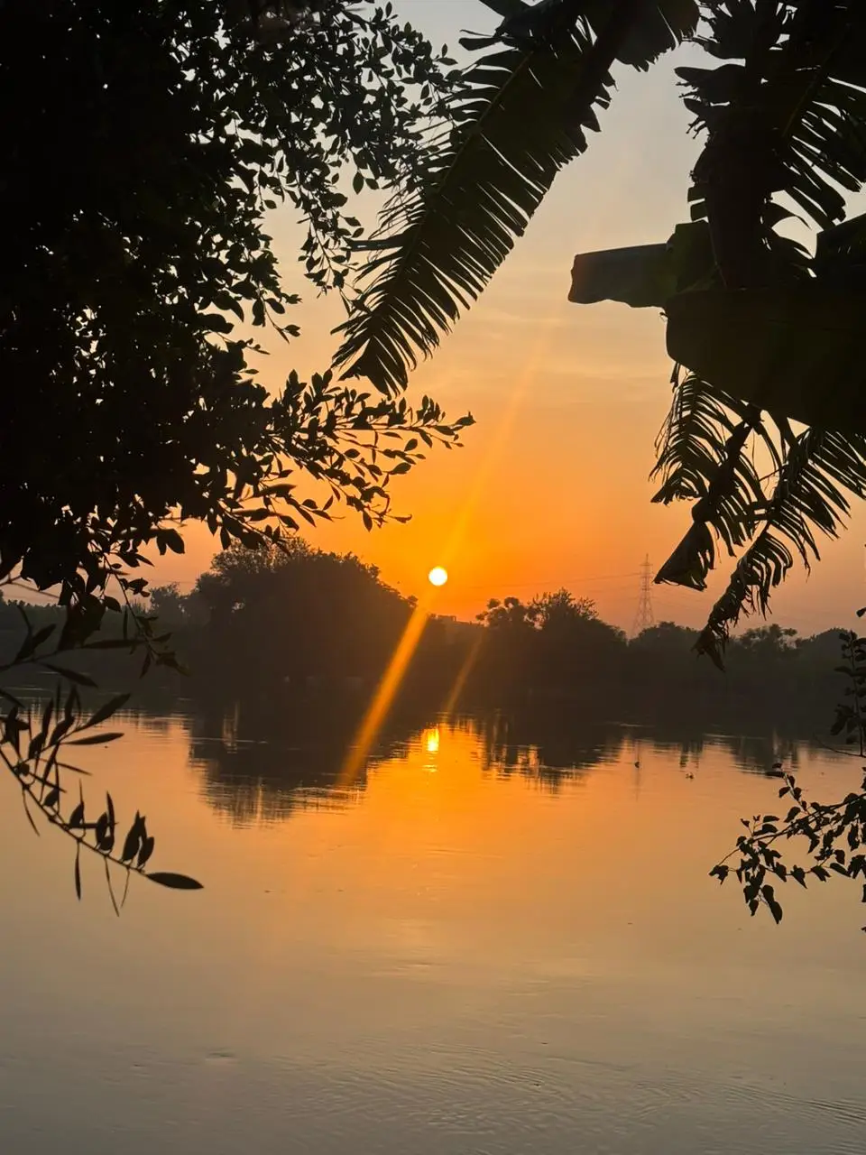 #egypt  #نهر_النيل  #المنوفيه 