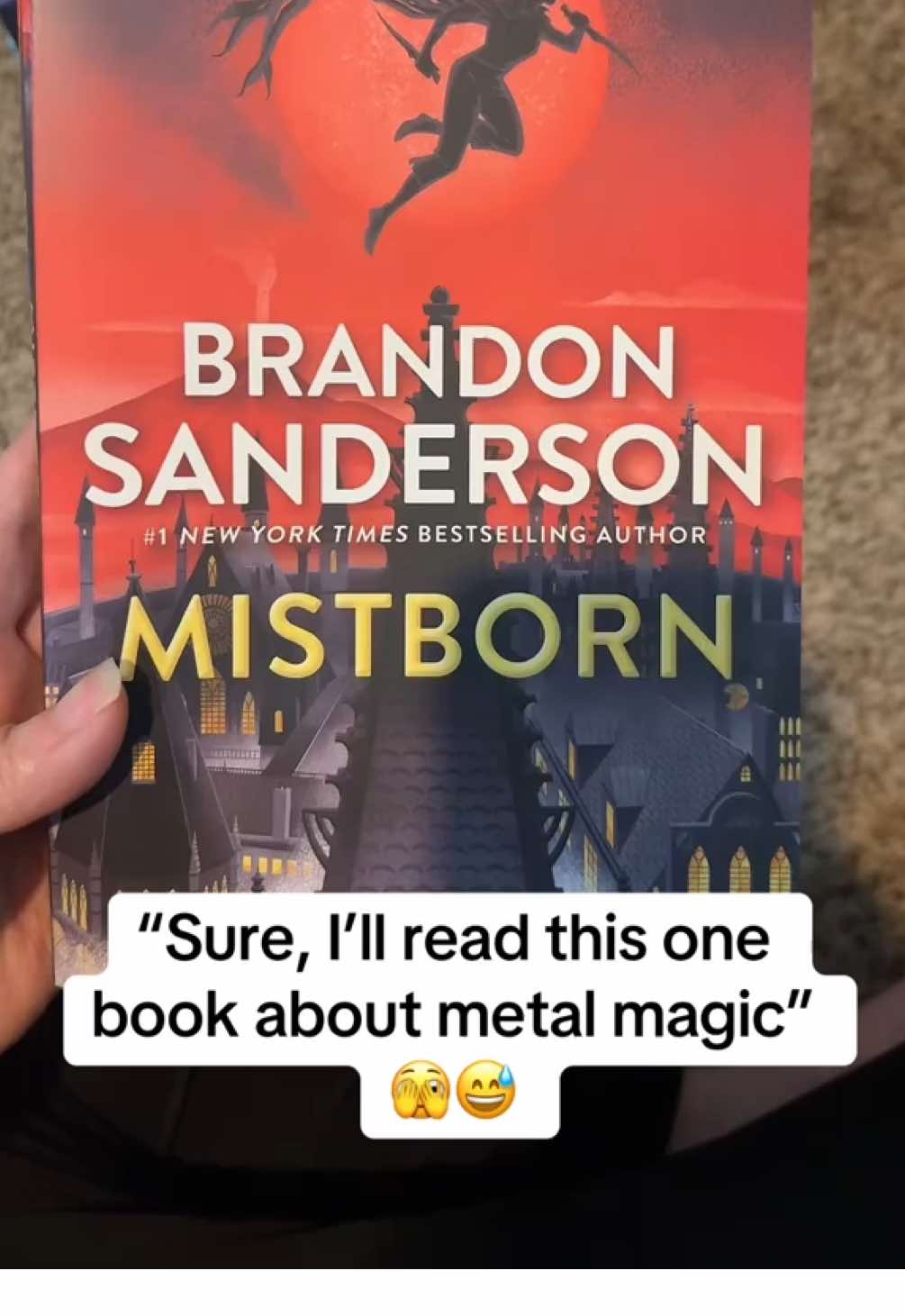 Don’t ask how much this stack cost and no, I’m not doing this trend by picking it up, it’s way too heavy😂 #brandonsanderson #cosmere #mistborn #stormlightarchive #BookTok #bookish 