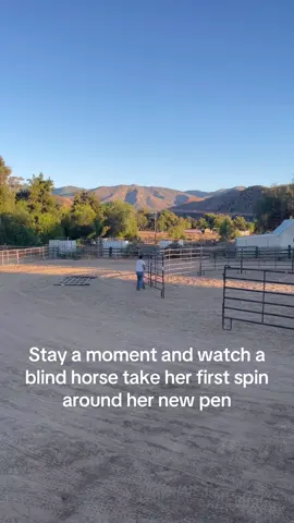 💙🐴 Our hearts are overflowing with gratitude. Because of you, our incredible sanctuary family, our dream of giving Hope a large space where she could safely be turned out became your dream as well. And last month that dream became a reality.🥹 Hope’s journey hasn’t been easy, and her recent PPID diagnosis has presented a new set of challenges, but your love and generosity are helping us contine to write this new chapter for her — one filled with love and the best care possible. From the bottom of our hearts, thank you for believing in her and in the work we do here at Blue Roan Ranch Sanctuary. You’ve given Hope more than a round pen… you’ve given her freedom to be a horse. Please enjoy this glimpse of her first guided walk around her round pen. 💙 #blindhorse #DSLD #PPID #sanctuary