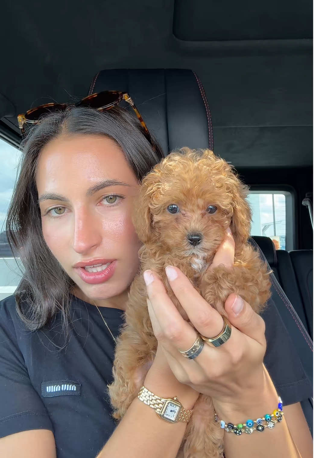 My return to TikTok starts with Mr. Karma Alfi 🧿😭 #cavapoo #puppy #family 