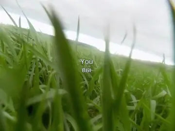 АлоэВера - георгины #песня #song #текстпесни #алоэвера 