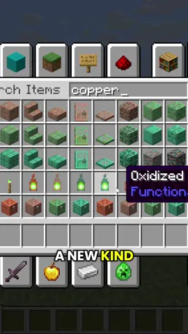 @Minecraft adds NEW copper items in the latest snapshot 👀 #Minecraft #minecraftsnapshot #minecraftbuilding #minecraftupdate 