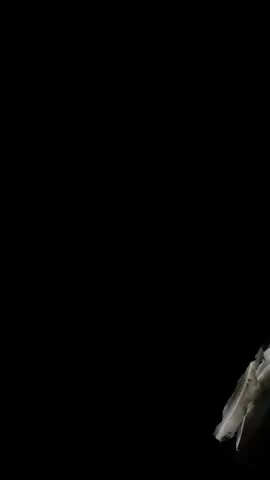 والله المكان خرافيي #اكسبلور #تيك #عشوائيات #fyp #اكسبلوررر #تصوري📸 #ستريك #المدينه #الهدا #الشفا #الطايف #تصوير #تصوري📸 