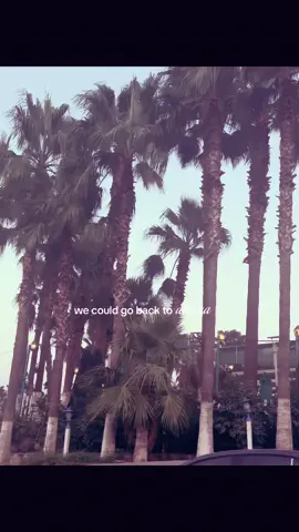 bu şehirle bir derdi olan benimle dertleşsin söz halledicez 🙏🏻☀️🫀🌴🍊 #01 