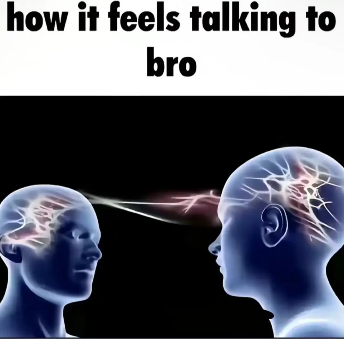 #fyp 