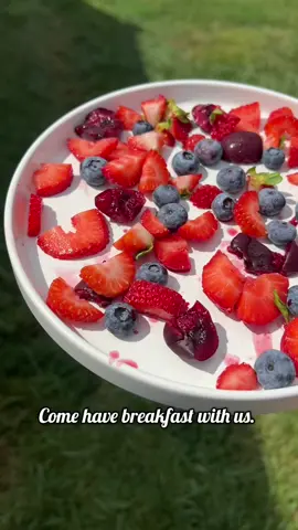 What did yall eat?  #breakfastideas #rexthebuck #freshfruit #summerproduce #blueberries #cherries #strawberries #rehabilition #wildlife #spotlessfawn #creatorsearchinsights #LIVEIncentiveProgram #LIVEStory #PaidPartnership 