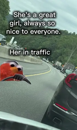 A lot of people can’t drive 🤷‍♀️😂#ihatetraffic #traffic #funnyvideos #elmo #roadto10k 