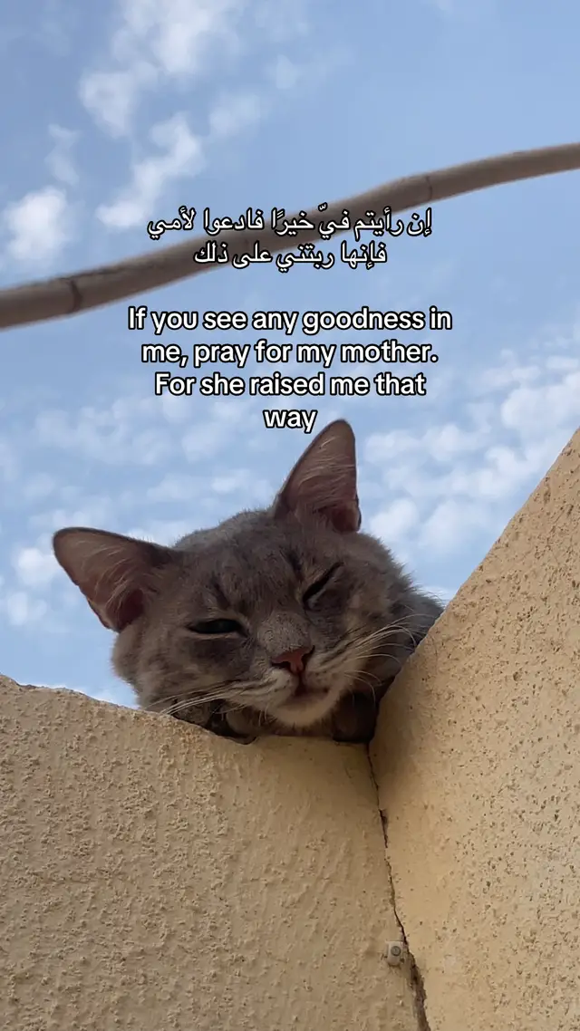 #foryou #pov #fyp #fyppppppppppppppppppppppp #الله_يرحمها_ويجعل_مثواها_الجنه 