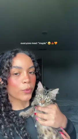 she’s an angel, and simply just a baby 🥹🤍 #cat #kitten #cats #kittens #baby 