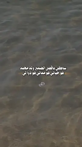 ساكن قلبي ##catso #لايكات #catsoftiktok #tiktok #شيلات_فخمة❤️ #اكسبلورexplore #شعب_الصيني_ماله_حل😂😂 #ftiktok #لايكات #ftiktok #fyp #greenscr #catsoftik #e##en #شعر ##catsoftiktok 