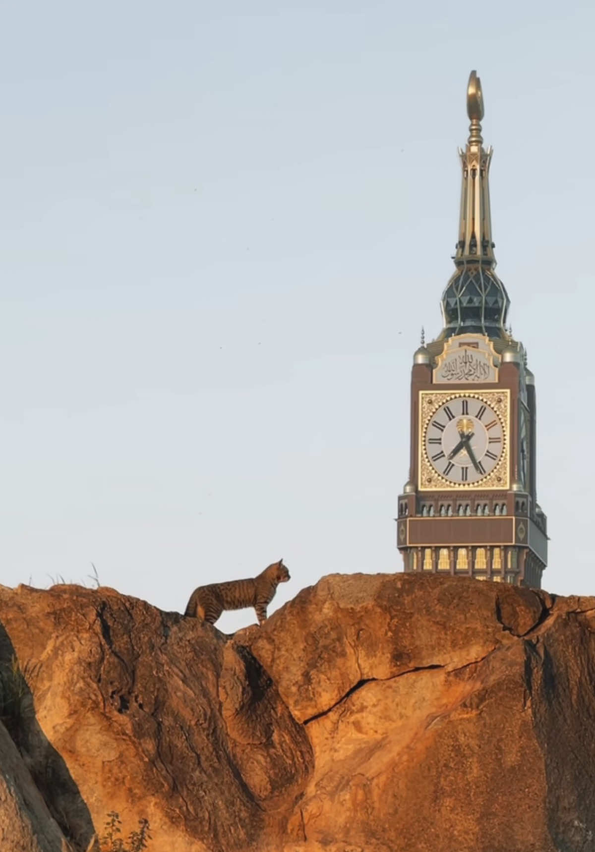 Allah sees you…every struggle is a path to something better. Trust in Allahs plan🙏 #islamicquotes #motivationalquotes #quotesislamic #inspirationalquotes #selfreminder #muslimtiktok #islamicreminder #islamicmotivation #deen 