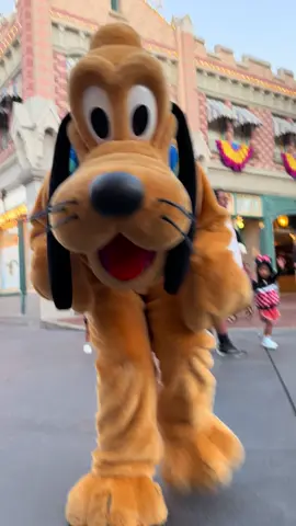 we had some of the best character interactions this last trip #disneyland #disney #pluto #fyp #Summer 
