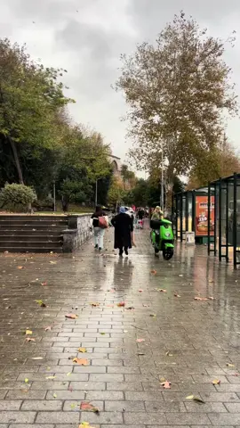 إسطنبول #نوفمبر #خريف إسطنبول #جنال إسطنبول بعيدا عن زحمة تقسيم #تركيا🇹🇷اسطنبول #اكسبلورexplore 