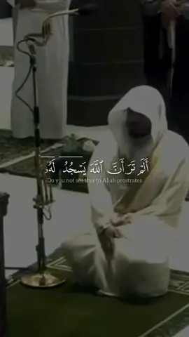 ‏ألم ترى أن الله يسجد له || #ياسر_الدوسري #سورة_الحج #قران #quran #yasseraldosari 