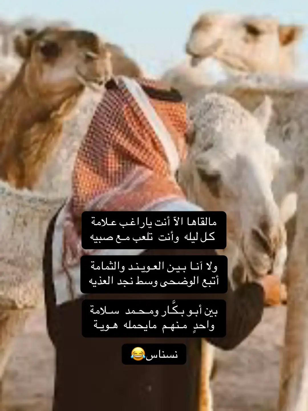 #شعراء_وذواقين_الشعر_الشعبي 