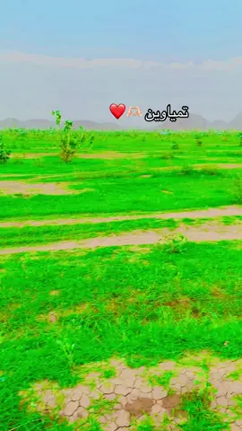 #مصمم_فيديوهات🎬🎵👑الاسطوره🎼🔥🔥🔥 