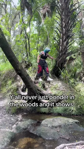 Floridas nature walks are pretty cool  #swamp #florida #nature 