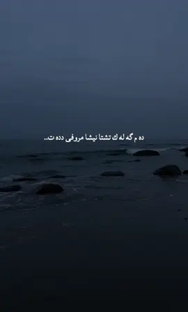 #🖤 