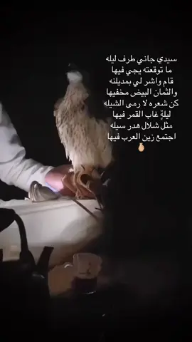 #explore #foryou #fyp #trend #ترند #اكسبلور #الشعب_الصيني_ماله_حل😂😂 #دقة #عود #اغنية #اغنيه #اغاني #أغاني #شيلة #شيله #شيلات #محسن_بن_دواس 