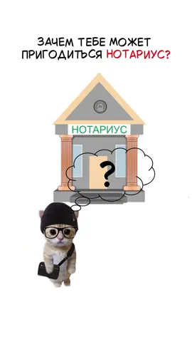 Гайд на нотариус #рекомендации #взрослаяжизнь 