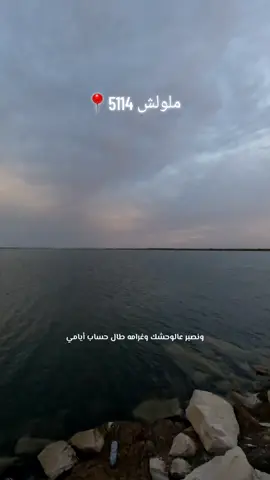 #tunisa_tiktòk #fyb #اكسبلور #explore #ملولش #الشعب_الصيني_ماله_حل😂😂 #🇹🇳 