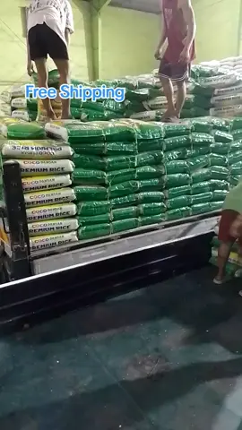 #cocopandan #murangbigas #fyp #hybridrice 