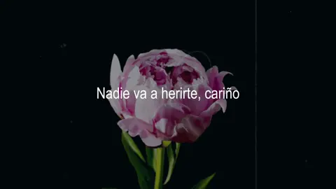 #cas #nothingsgonnahurtyoubaby #cigarettesafter #paratiiiiiiiiiiiiiiiiiiiiiiiiiiiiiii #fyppppppppppppppppppppppp #foryouu #apoyo? 