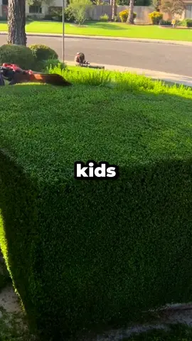 The children of my neighbor sold my grill and my video game while I was away. #redditstoriestts #reddit #redditstories #redditreadings 