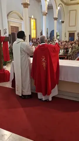 Holy Mass #holymass #trends #catholic #catholicism #churchbeauty #catholictiktok #bishop 