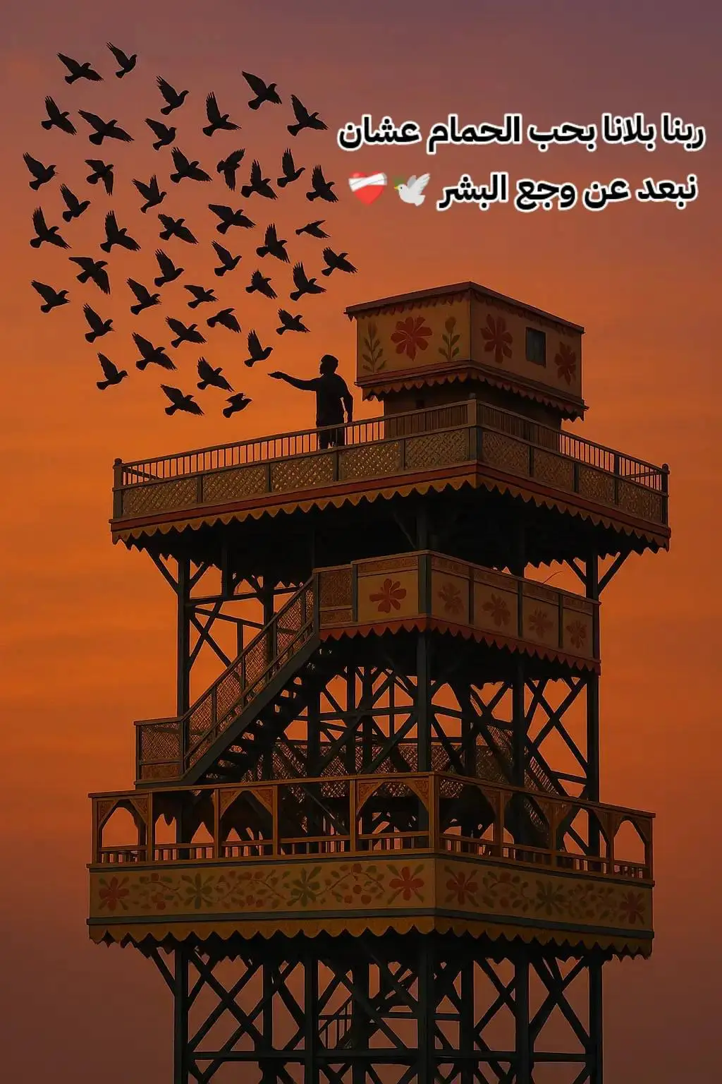 # الزاجل _ غوايه_ الملوك🥇 #الزاجل_عشق_لاينتهي❤️🕊️ #الحمام_ الزاجل _عشق_لن _ينتهي😍 # كتيبه 999