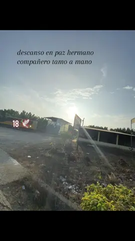 #🕊️🤍 #🕊️🖤 