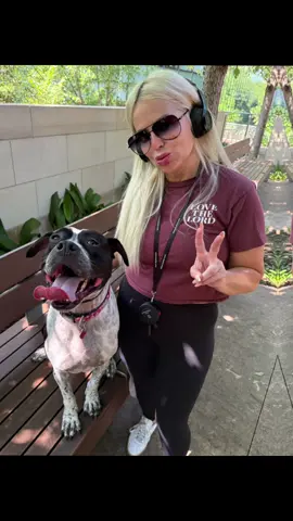 From shelter to ADOPTED & TRAINED! #dallas #DogTraining #shelterdog 