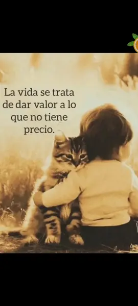 Frases y Reflexiones de la vida 