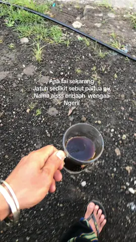 Hahahh😂#nttpride🏝🔥fypシviral #katakatamotivasi #katabijak #paitua 