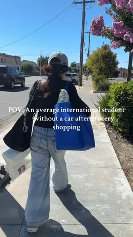 #internationalstudent #needacar #dying 