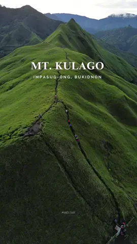 The hummingbird mountain of Bukidnon. 🍃🫶 MT. KULAGO DAY HIKE WITH FREE SOLO/GROUP DRONE SHOTS  NEXT SCHEDULES: August 9, 16, 23, 30, 2025 We welcome solo travelers, couples, groups of friends, and families. Also, we accept weekday climbs to avoid crowds.  Message us for more inquiries! FB ACCNT - Angkol Guide TM/GLOBE - 09368226824 #mtkulago #Bukidnon #loveimpasug-ong #AngkolGuideTravelandTours #fyp