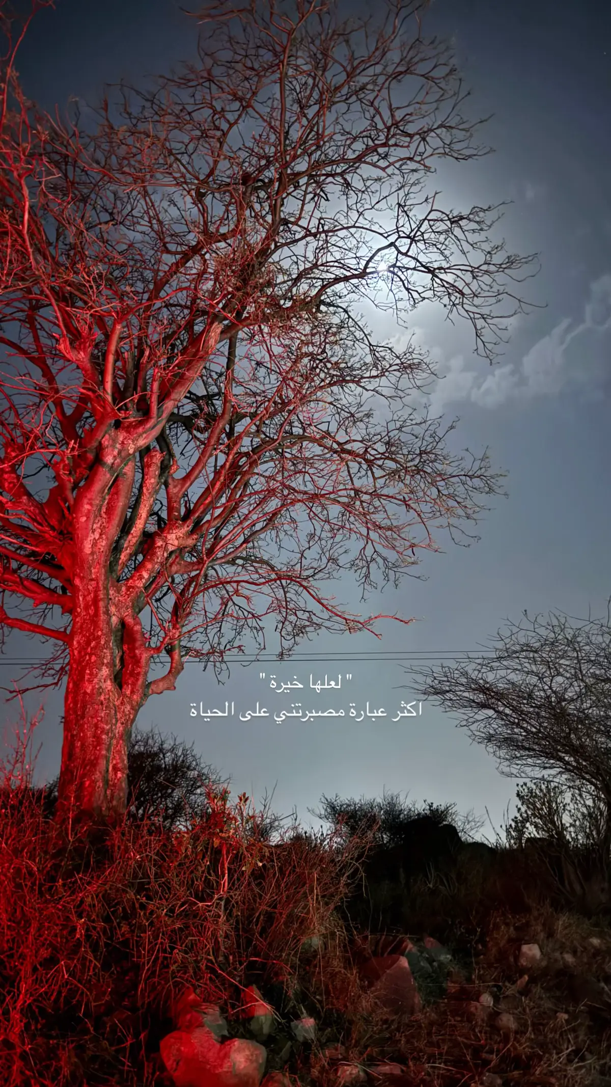 #اكسبلورexplore #تصويري📷  #fyp #A 