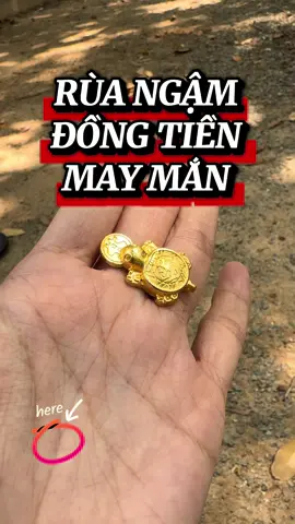 Rùa vàng ngậm đồng tiền phong thuỷ #xuhuongtiktok #chiasekinhnghiem #dongxuhoamai #labode12congiap #ruavang #xuhuong 
