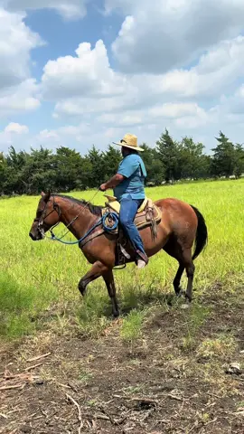 #LIVEIncentiveProgram #LIVEStory #PaidPartnership 