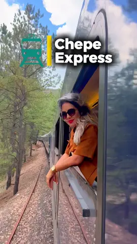 🚂✨ ¿Vas a viajar en el Chepe Express? Aquí te dejamos las recomendaciones básicas para planearlo como se debe: 📍 ¿Desde Los Mochis o desde Creel? 🛫 ¿A qué aeropuerto llegar? 🚞 ¿Qué clase de tren elegir? 📅 ¿Cuántos días necesitas? 🌄 ¿En qué estaciones vale la pena bajarse? Si lo planeas bien, este recorrido por la Sierra Tarahumara puede ser uno de los viajes más espectaculares de tu vida 😍 💡 Guárdalo si lo quieres hacer pronto y compártelo con tu compañer@ de aventuras. 📲 Si quieres ayuda para organizarlo, en Coleccionista de Destinos te lo diseñamos todo a medida. En el siguiente video te cuento qué incluye cada clase a bordo del tren 🚂👀 #ChepeExpress #ColeccionistaDeDestinos #MéxicoIncreíble #SierraTarahumara #ViajerosMexico #ViajeEnTren #TipsDeViaje #RutasDeMéxico #PueblosMágicos
