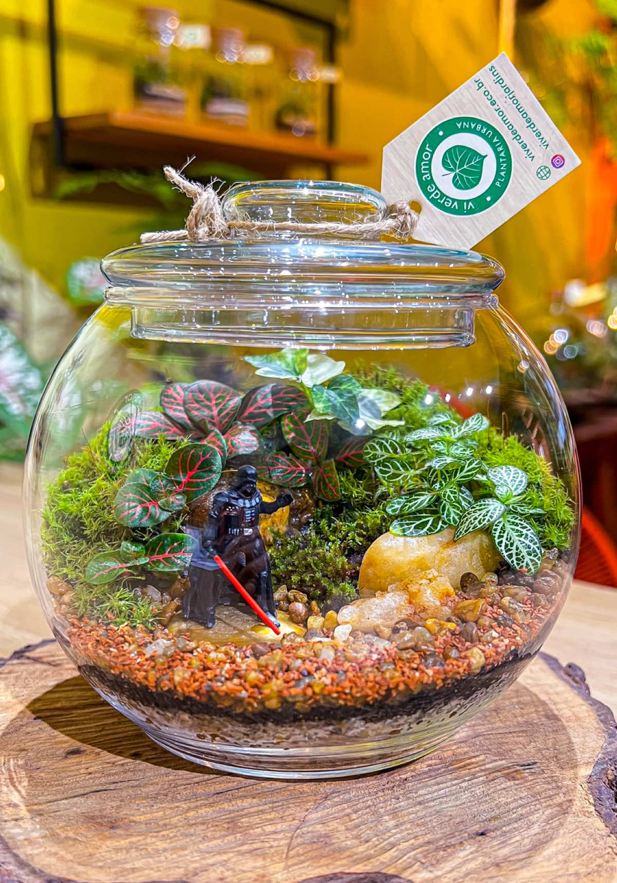 Nem todo terrário precisa ser fofinho… Às vezes, ele é dominado pelo lado sombrio da Força 🌑🌿 Esse foi um presente especial que a Nathália encomendou pro namorado — fã declarado de Star Wars e do poderoso Darth Vader. Ela queria surpreender… e conseguiu!🌱 O resultado? Um minimundo vivo, cheio de personalidade, onde até o senhor do império se rendeu ao charme da natureza. Presente criativo + toque geek + feito à mão = combinação perfeita.🍃 Para fazer a sua encomenda personalizada, me chama por mensagem ou no WhatsApp 11972842597 💚 #terrario #starwarsbrasil #darthvader #presentepersonalizado #terrariocriativo #geekdecor #presentecriativo 