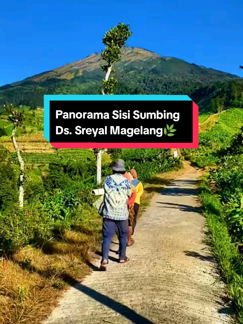 Monggo luur di sawang endahe panorama sisi gunung sumbing magelang jateng🌿❤😍#sisisumbing #gunungsumbing #pemandanganalam #lagujawa #padahariini 