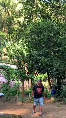 Cek sound pagi hari😁😅#pertemuan2 #padahariini #fyp#jowopride #wongdeso #4upage #fyppp 