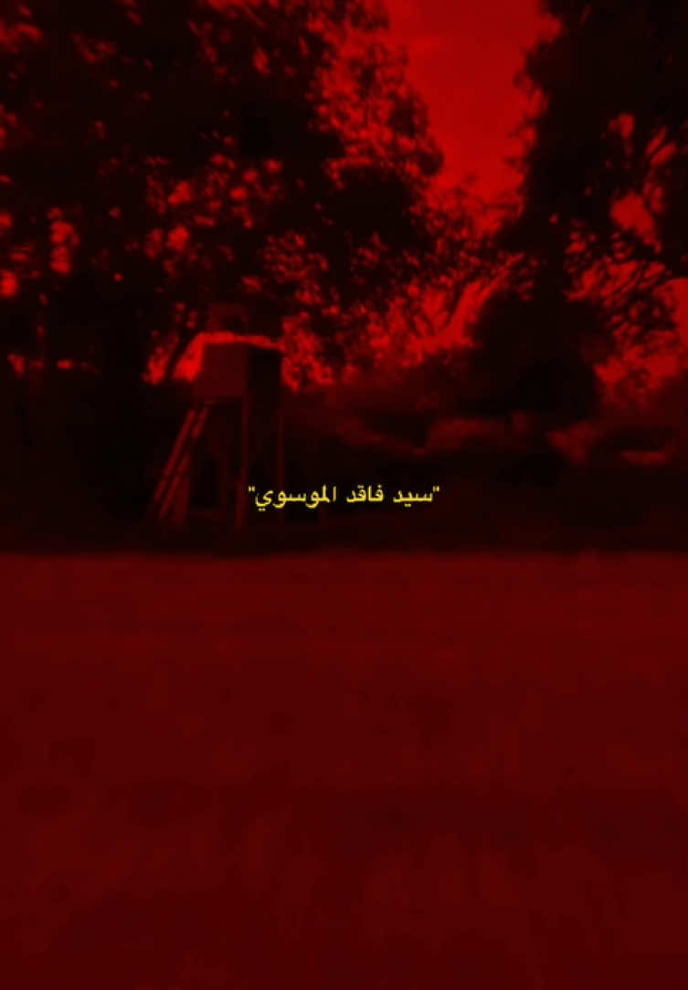 #سيد_فاقد_الموسوي♡ 