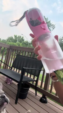 3 in 1 can’t get any better than that! #fyp #furmom #frenchie #viral 