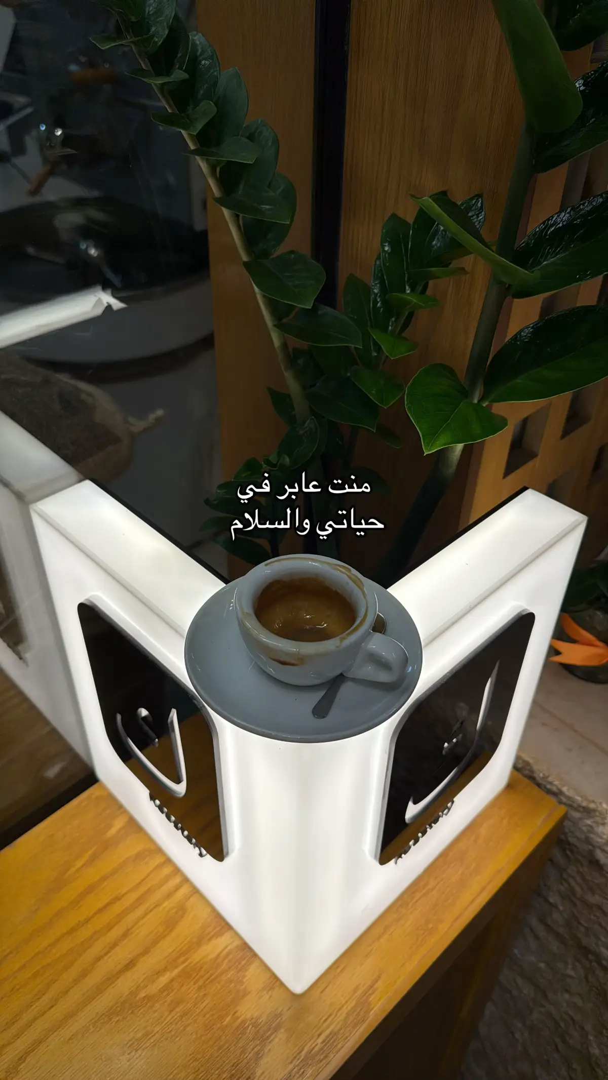 #fypシ゚ #اكسبلور #بغيتك_المطيري #viral #elsalvador4k #jungkook #مالي_خلق_احط_هاشتاقات #pet #paratiiiiiiiiiiiiiiiiiiiiiiiiiiiiiiiiFyf #nhachaymoingay #paratiiiiiiiiiiiiiiiiiiiiiiiiiiiiiiiiFyf #الدلم_الهياثم_الصحناء_الهياثم_نعجان #