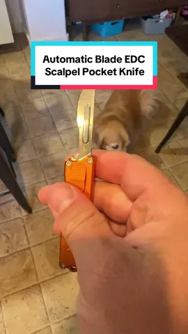 I cannot believe the price on these automatic blade scalpels EDC knives! #knives #knife #scalpel #edc #pocketknife 