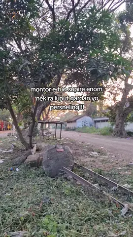 obah owah jare bos