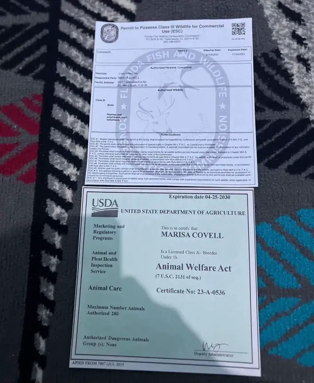 I’m a licensed breeder of bearded dragons so feel free to contact me 