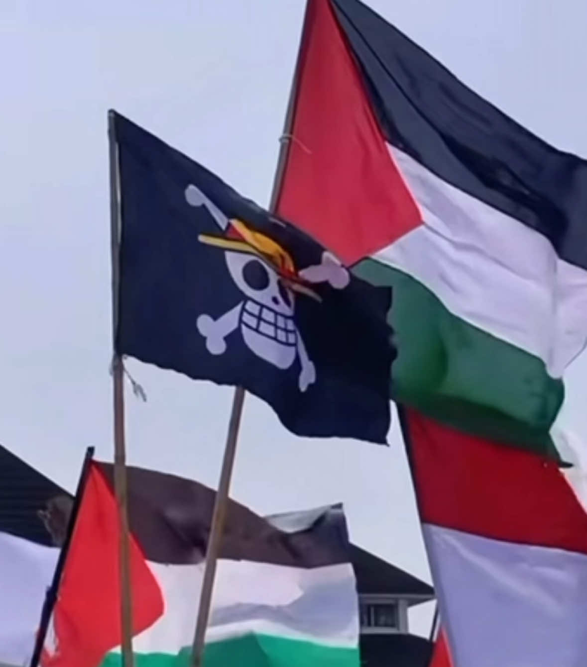 One Piece es la misma libertad. #onepiece #indonesia #afganistan #fyp #mexico🇲🇽 